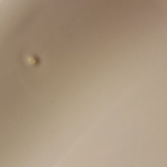 Vintage Portmeirion Wood Duck Anas Sponsa Decorative Plate Dish 10.5"Di… - Picture 7 of 7